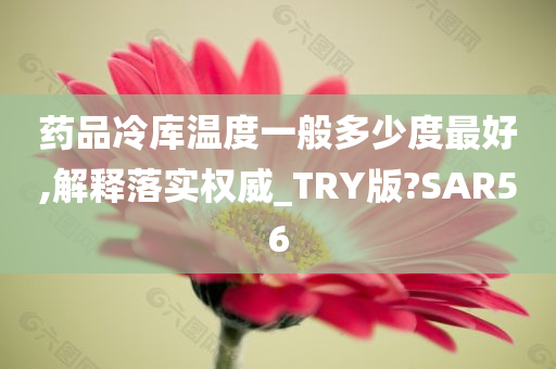 药品冷库温度一般多少度最好,解释落实权威_TRY版?SAR56