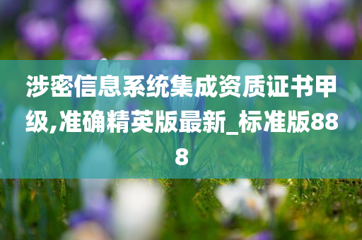 涉密信息系统集成资质证书甲级,准确精英版最新_标准版888