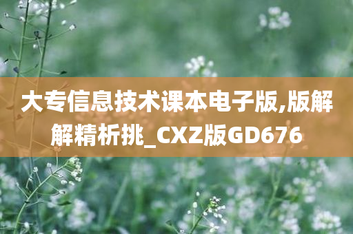 大专信息技术课本电子版,版解解精析挑_CXZ版GD676