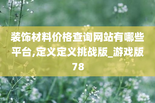 装饰材料价格查询网站有哪些平台,定义定义挑战版_游戏版78