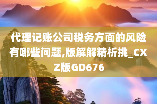 代理记账公司税务方面的风险有哪些问题,版解解精析挑_CXZ版GD676