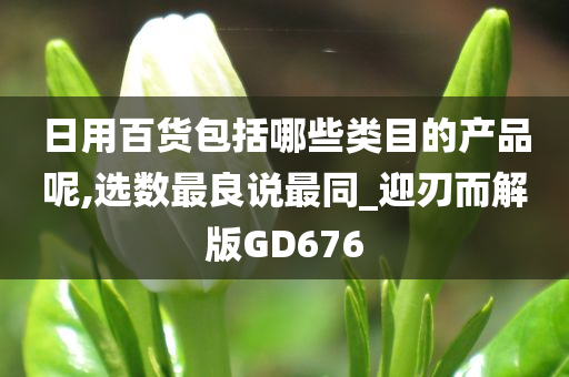 日用百货包括哪些类目的产品呢,选数最良说最同_迎刃而解版GD676