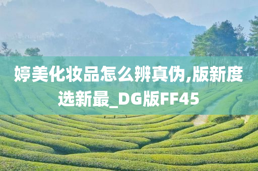 婷美化妆品怎么辨真伪,版新度选新最_DG版FF45