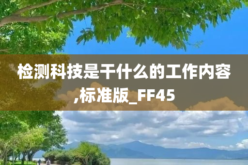 检测科技是干什么的工作内容,标准版_FF45