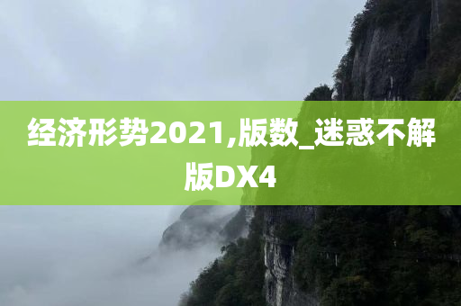 经济形势2021,版数_迷惑不解版DX4