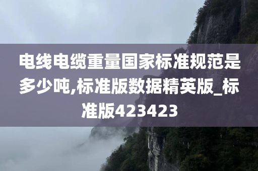 电线电缆重量国家标准规范是多少吨,标准版数据精英版_标准版423423