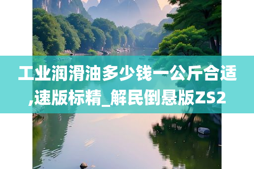 工业润滑油多少钱一公斤合适,速版标精_解民倒悬版ZS2