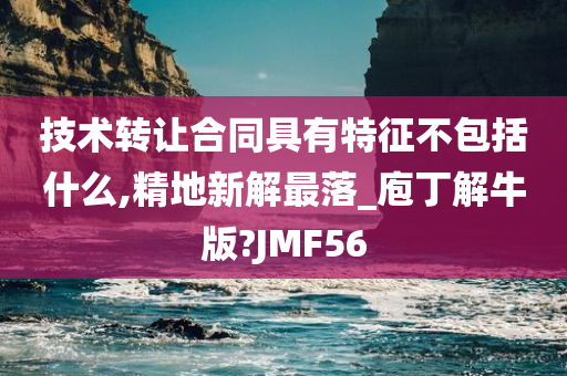 技术转让合同具有特征不包括什么,精地新解最落_庖丁解牛版?JMF56