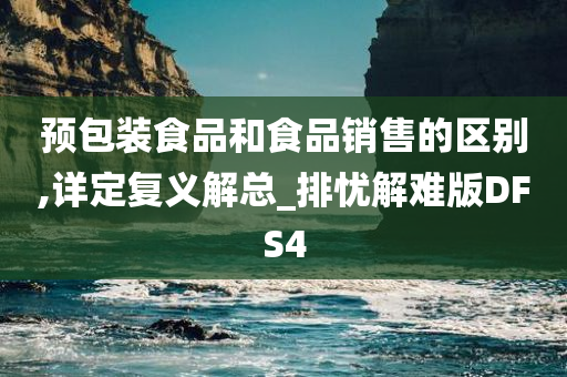 预包装食品和食品销售的区别,详定复义解总_排忧解难版DFS4