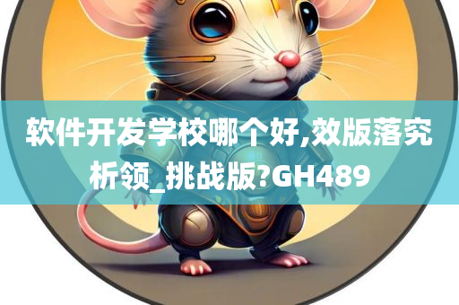 软件开发学校哪个好,效版落究析领_挑战版?GH489