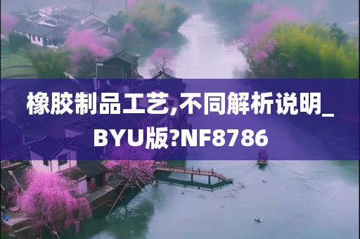 橡胶制品工艺,不同解析说明_BYU版?NF8786