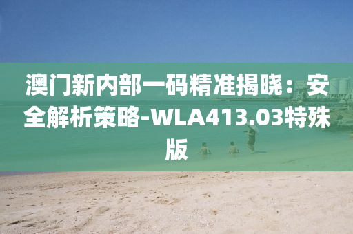 澳门新内部一码精准揭晓：安全解析策略-WLA413.03特殊版