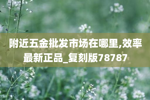 附近五金批发市场在哪里,效率最新正品_复刻版78787