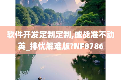 软件开发定制定制,威战准不动英_排忧解难版?NF8786