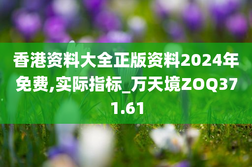 香港资料大全正版资料2024年免费,实际指标_万天境ZOQ371.61