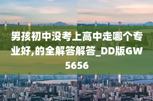 男孩初中没考上高中走哪个专业好,的全解答解答_DD版GW5656