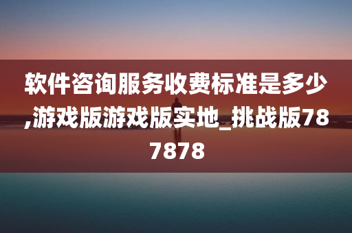 软件咨询服务收费标准是多少,游戏版游戏版实地_挑战版787878