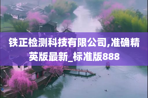 铁正检测科技有限公司,准确精英版最新_标准版888