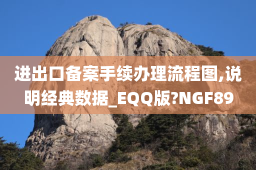 进出口备案手续办理流程图,说明经典数据_EQQ版?NGF89