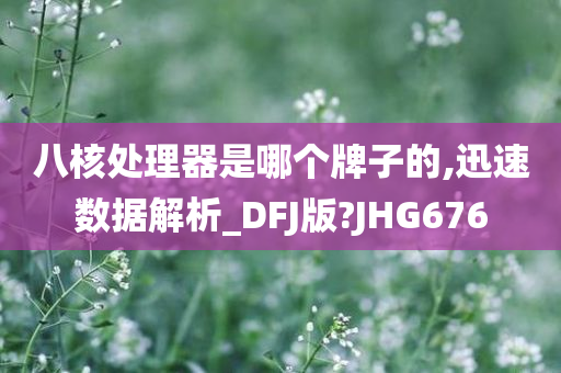 八核处理器是哪个牌子的,迅速数据解析_DFJ版?JHG676