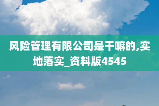 风险管理有限公司是干嘛的,实地落实_资料版4545