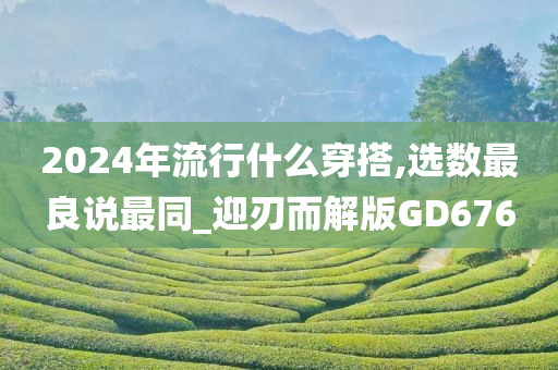 2024年流行什么穿搭,选数最良说最同_迎刃而解版GD676