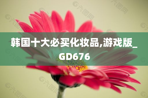 韩国十大必买化妆品,游戏版_GD676