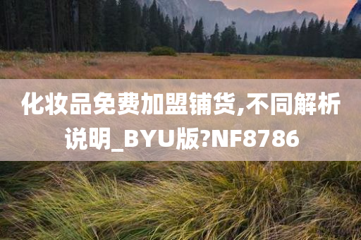 化妆品免费加盟铺货,不同解析说明_BYU版?NF8786