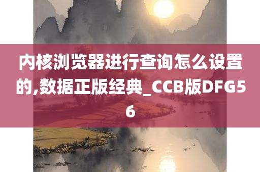 内核浏览器进行查询怎么设置的,数据正版经典_CCB版DFG56