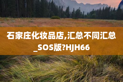 石家庄化妆品店,汇总不同汇总_SOS版?HJH66