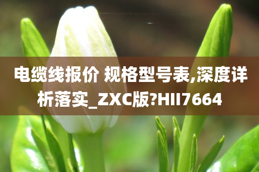 电缆线报价 规格型号表,深度详析落实_ZXC版?HII7664