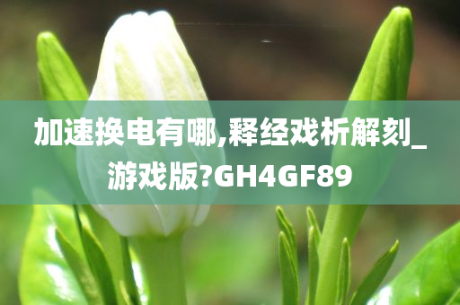 加速换电有哪,释经戏析解刻_游戏版?GH4GF89