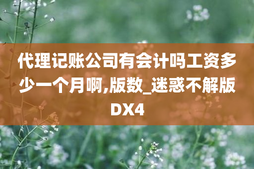 代理记账公司有会计吗工资多少一个月啊,版数_迷惑不解版DX4