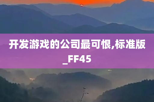 开发游戏的公司最可恨,标准版_FF45