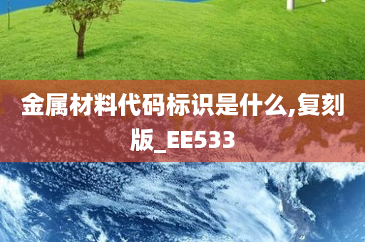 金属材料代码标识是什么,复刻版_EE533