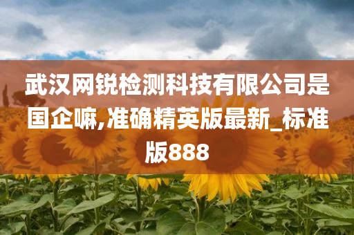 武汉网锐检测科技有限公司是国企嘛,准确精英版最新_标准版888