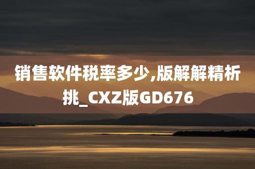 销售软件税率多少,版解解精析挑_CXZ版GD676