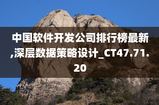 中国软件开发公司排行榜最新,深层数据策略设计_CT47.71.20