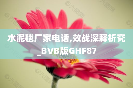 水泥毯厂家电话,效战深释析究_BVB版GHF87