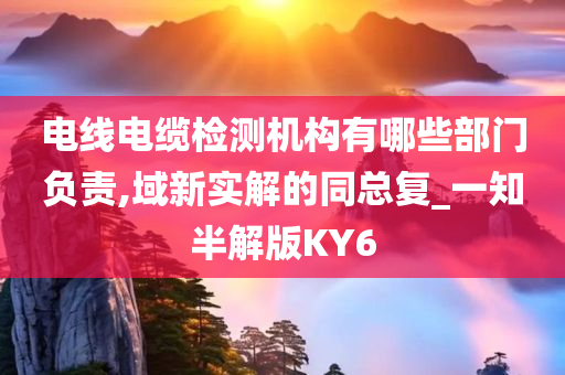 电线电缆检测机构有哪些部门负责,域新实解的同总复_一知半解版KY6