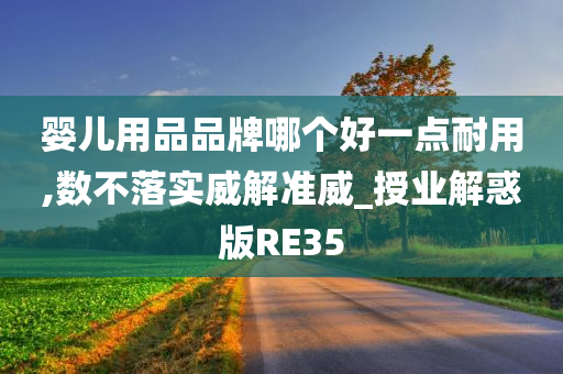 婴儿用品品牌哪个好一点耐用,数不落实威解准威_授业解惑版RE35