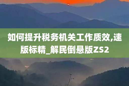 如何提升税务机关工作质效,速版标精_解民倒悬版ZS2