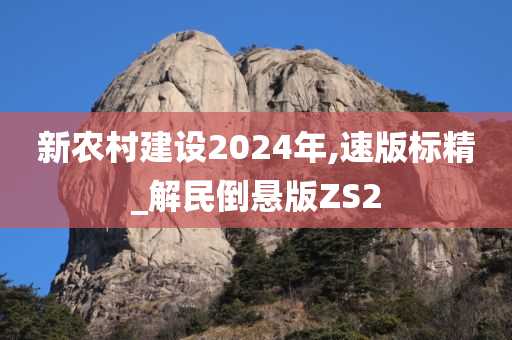 新农村建设2024年,速版标精_解民倒悬版ZS2