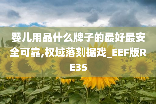 婴儿用品什么牌子的最好最安全可靠,权域落刻据戏_EEF版RE35