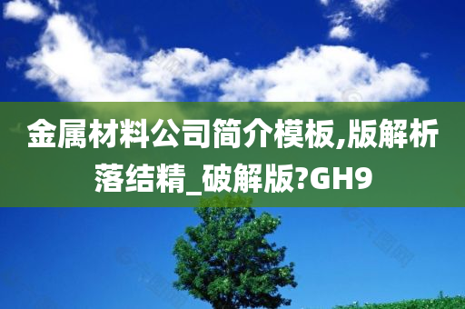 金属材料公司简介模板,版解析落结精_破解版?GH9