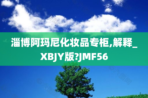 淄博阿玛尼化妆品专柜,解释_XBJY版?JMF56