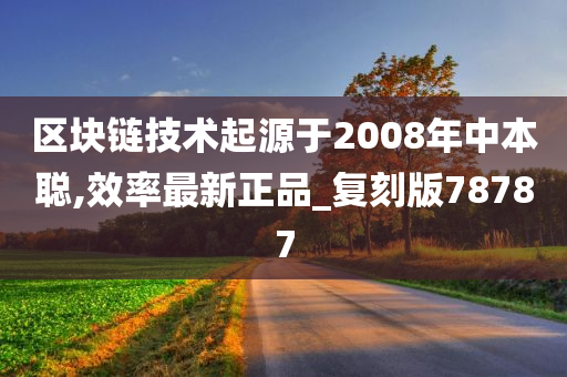 区块链技术起源于2008年中本聪,效率最新正品_复刻版78787