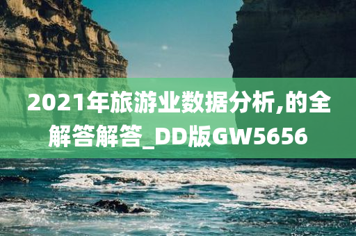 2021年旅游业数据分析,的全解答解答_DD版GW5656