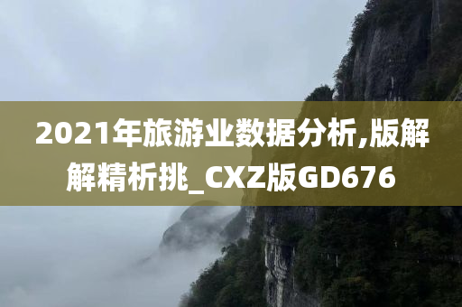 2021年旅游业数据分析,版解解精析挑_CXZ版GD676