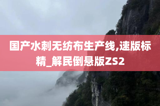 国产水刺无纺布生产线,速版标精_解民倒悬版ZS2